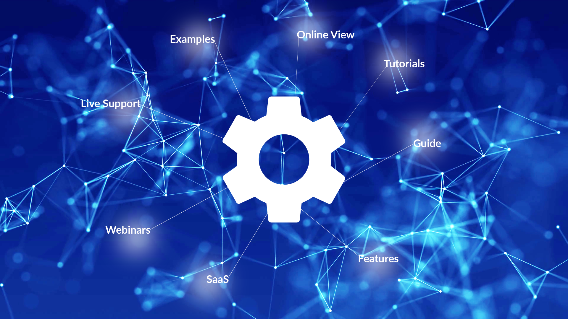 lorem ipsum dolor sit