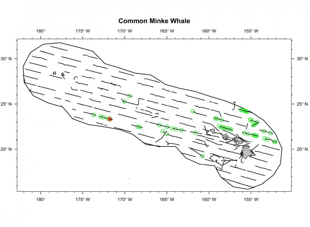 Sightings and acoustic detections of common minke whales.