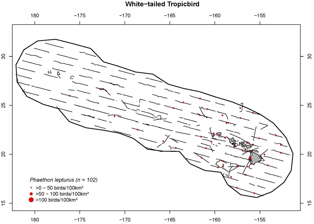 Distribution and density (birds/100 km2) for white-tailed tropicbirds.